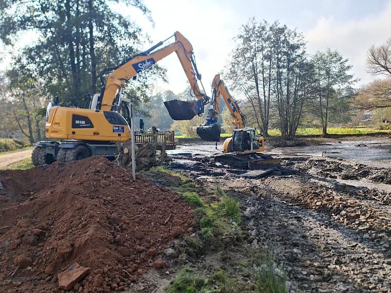 Rodung & Entschlammung